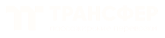 ТТ ТРАНСФЕР